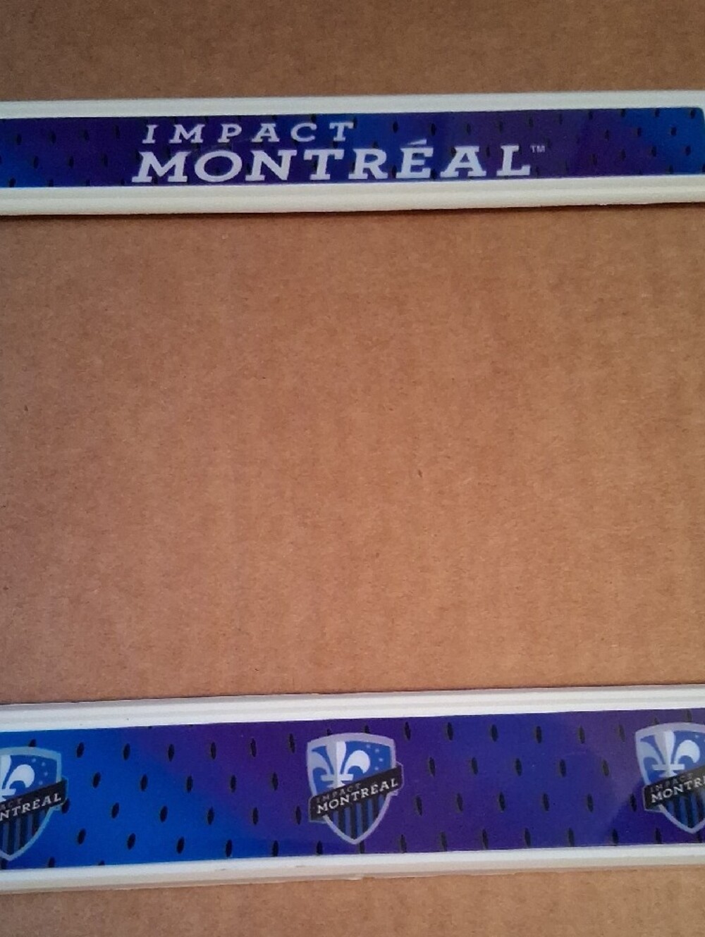 License Plate Frame - Blue/White - Picture 2 of 14